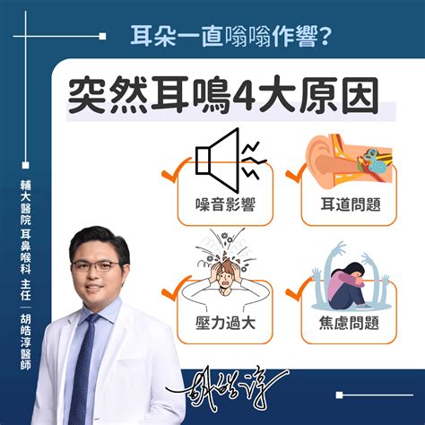 舒緩耳鳴方法|耳鳴怎麼辦？搞懂耳鳴原因、特徵與11種耳鳴舒緩方法